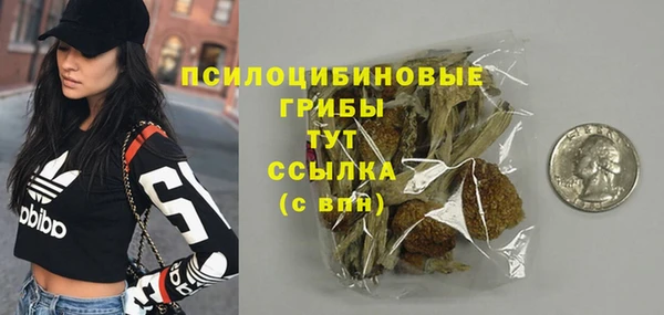 молекула духа Липки