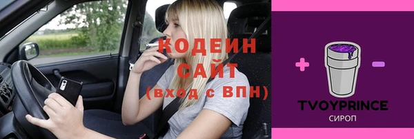 молекула духа Липки