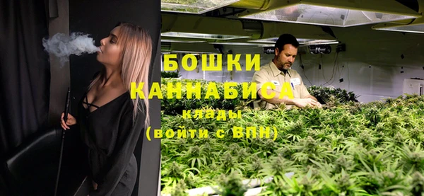 молекула духа Липки