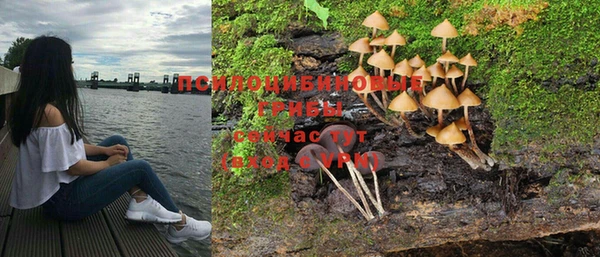 молекула духа Липки