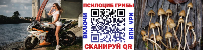 Галлюциногенные грибы Cubensis  дарнет шоп  блэк спрут как зайти  Циолковский 
